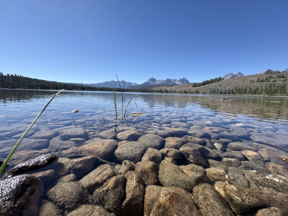 little redfish lake